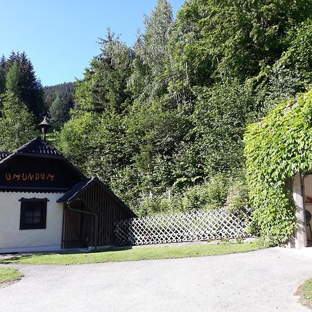 Vila Umundumhuette Katsch an der Mur Exteriér fotografie