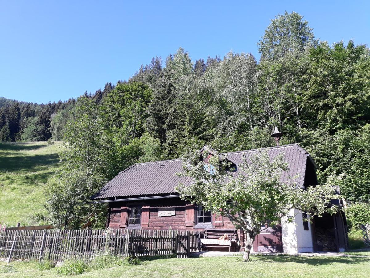 Vila Umundumhuette Katsch an der Mur Exteriér fotografie