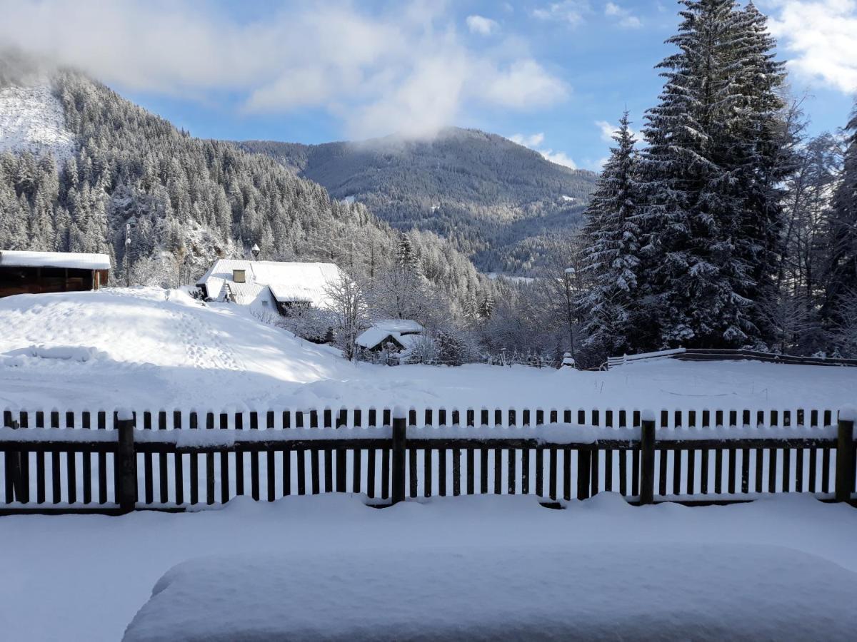 Vila Umundumhuette Katsch an der Mur Exteriér fotografie