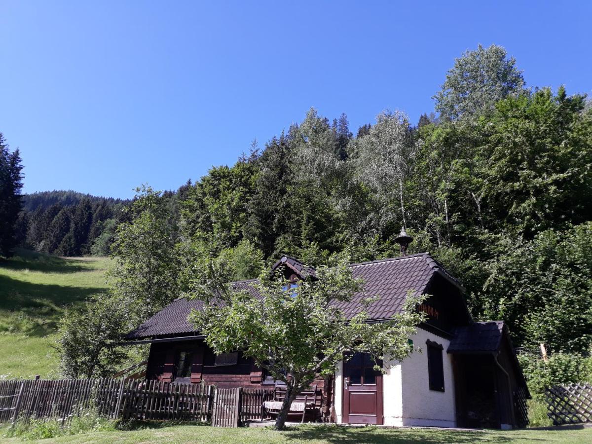 Vila Umundumhuette Katsch an der Mur Exteriér fotografie