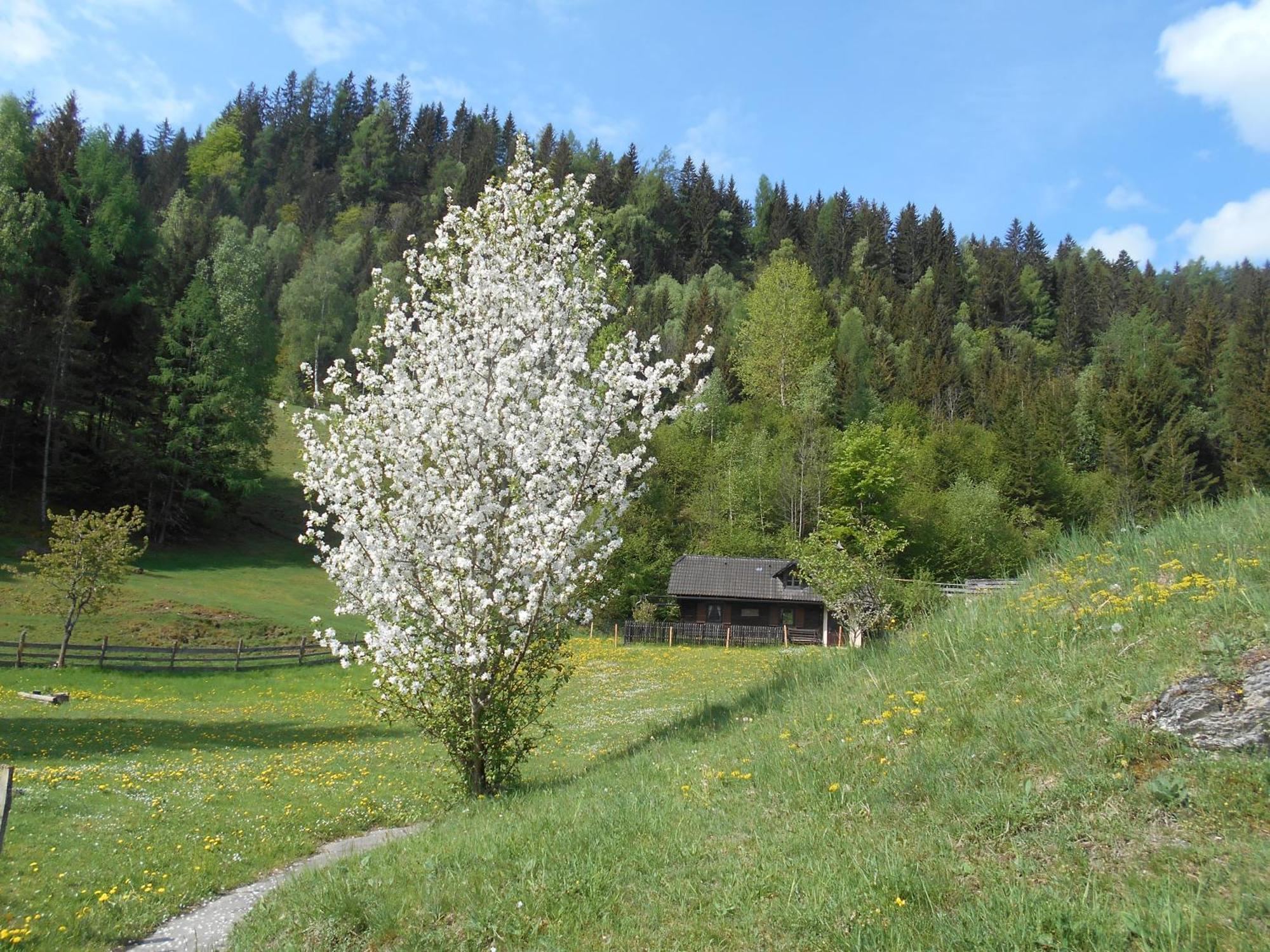 Vila Umundumhuette Katsch an der Mur Exteriér fotografie