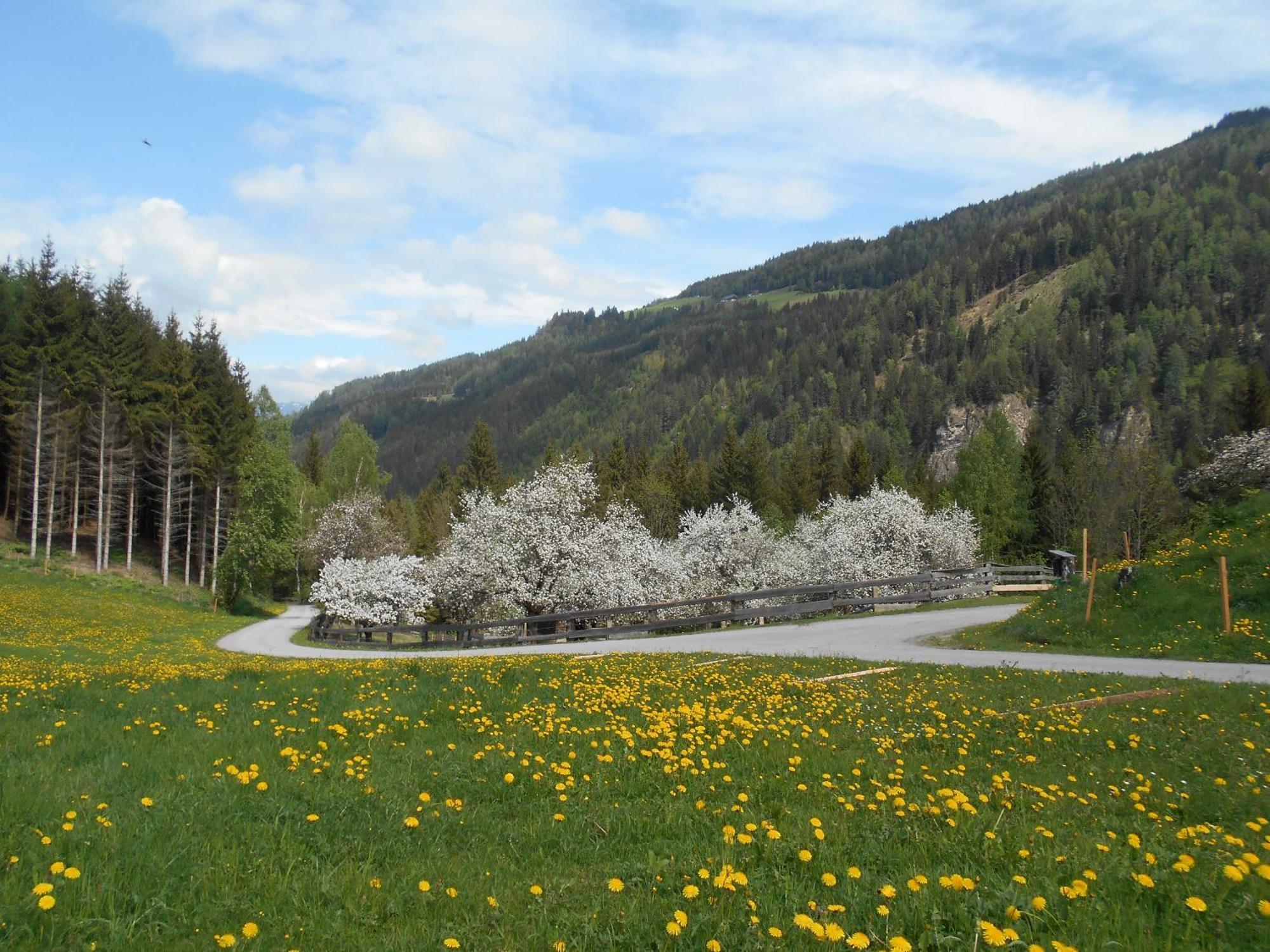 Vila Umundumhuette Katsch an der Mur Exteriér fotografie