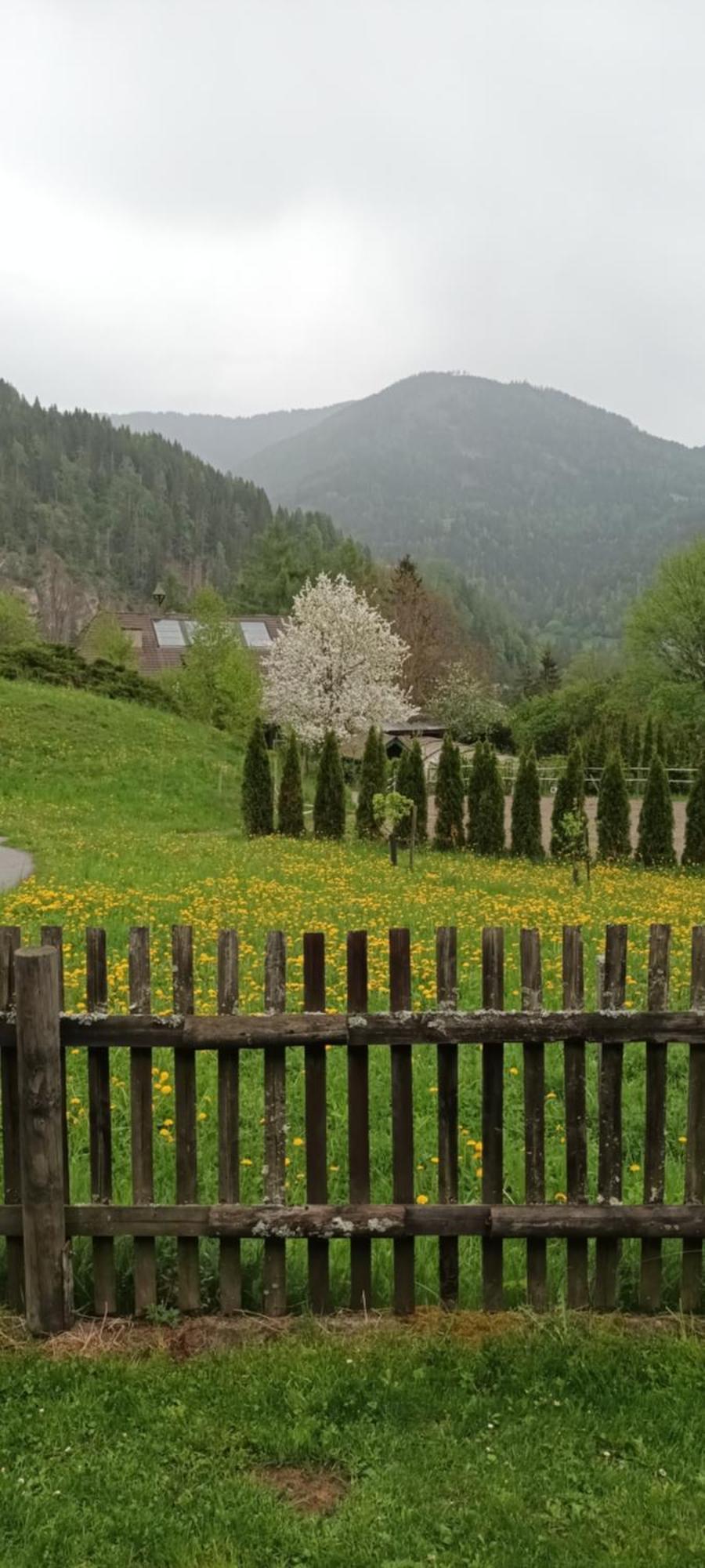 Vila Umundumhuette Katsch an der Mur Exteriér fotografie