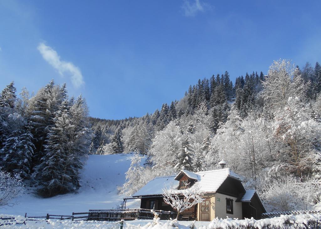 Vila Umundumhuette Katsch an der Mur Exteriér fotografie