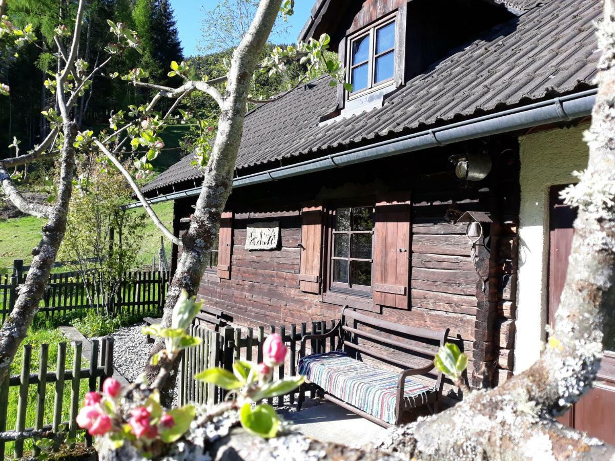 Vila Umundumhuette Katsch an der Mur Exteriér fotografie